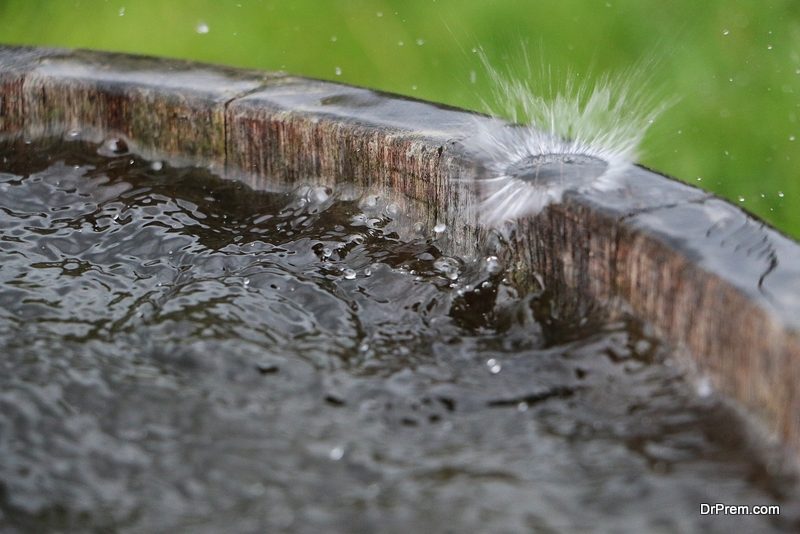 rainwater harvest