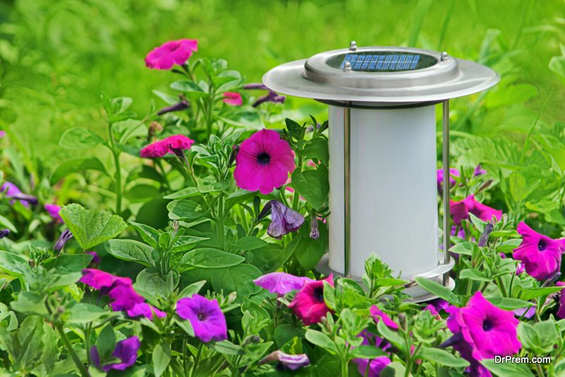 Install Solar Lights