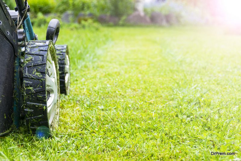 Gas Powered Lawn Mower