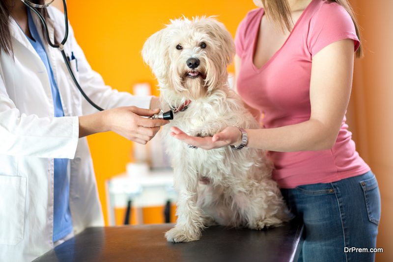 Stay Away from Pet Prescription Drugs