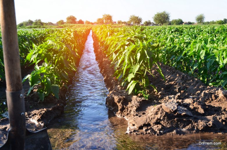 How Does Agriculture Affect Water