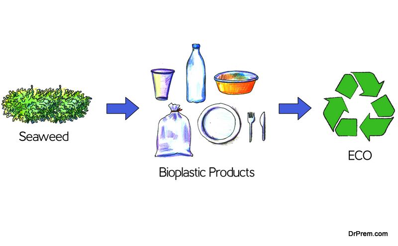 Bio-plastics