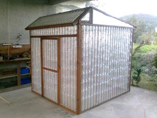 Plastic bottle greenhouse