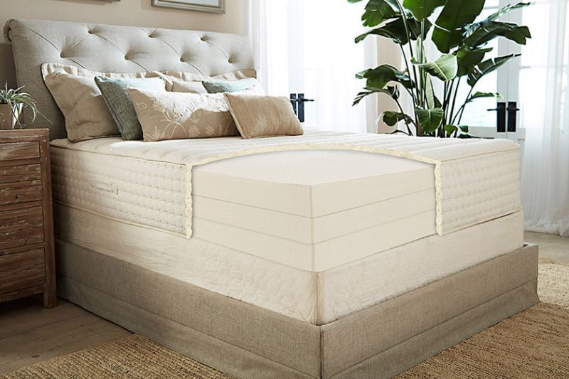 PlushBeds Botanical Bliss Collection