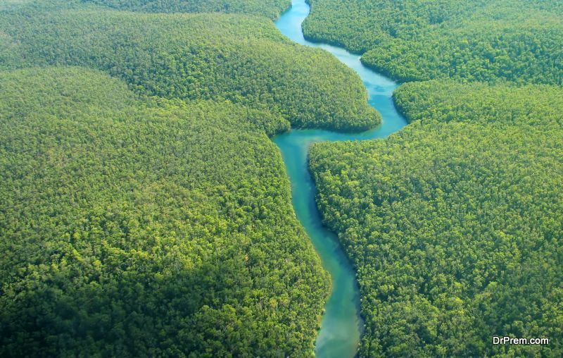 The Amazon Rainforest day