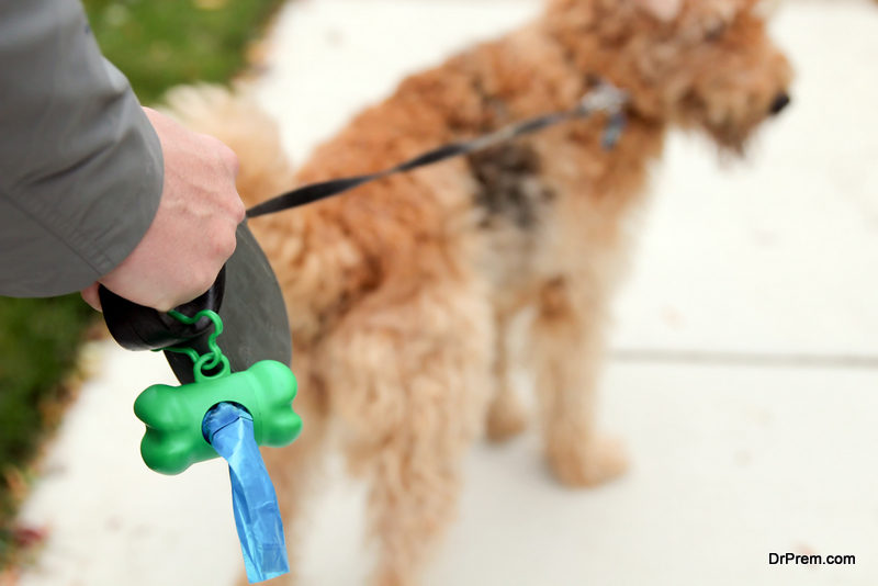 Curbicus The Sustainable Solution To Dog Waste Removal Ecofriend