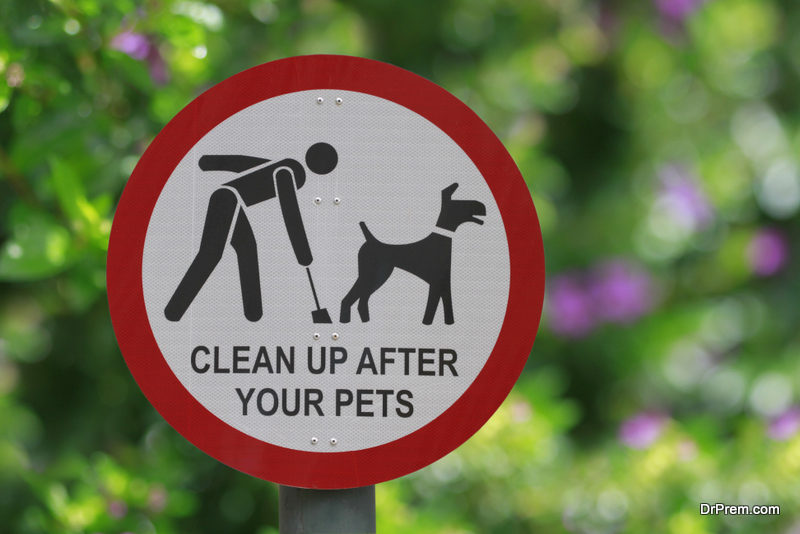 Dog Waste Removal 