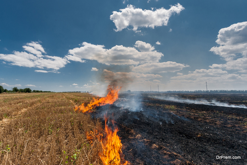 Never burn trash