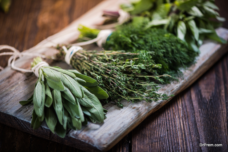 herb garden