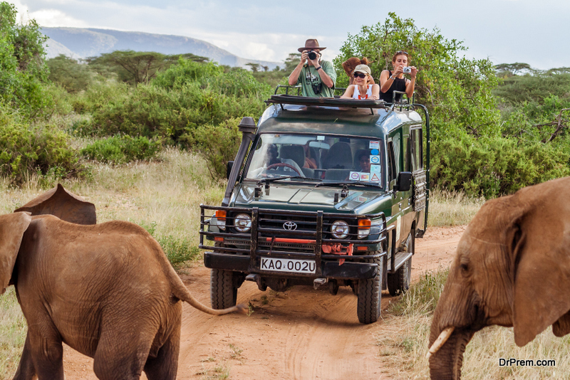 elephant safaris are hugely popular in Asian destinations