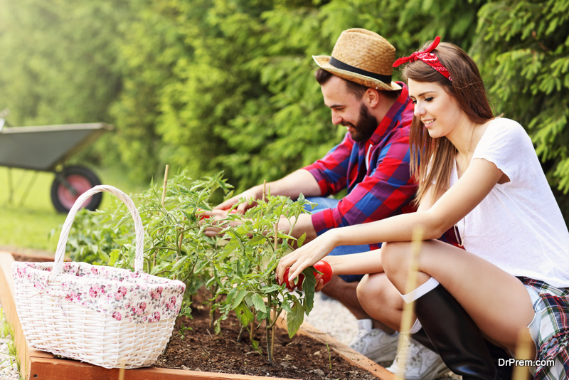 gardening