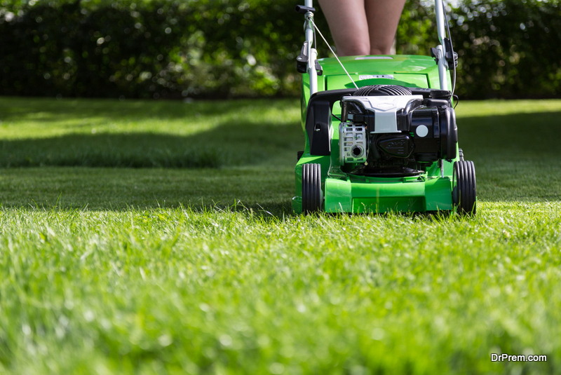 Improve Your Lawn Maintenance by Selecting the Right Lawn ...