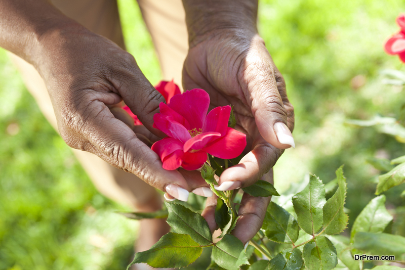 worker in floriculture