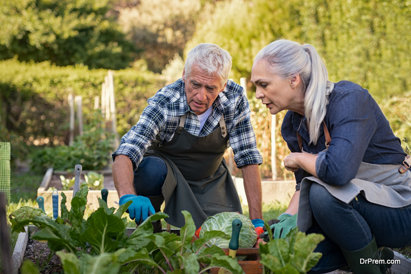 couple Maintaining a Small Kitchen Garden