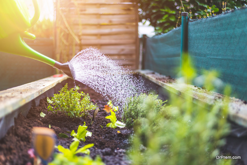 planting herbs