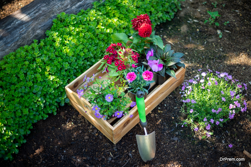 Gardening Tools