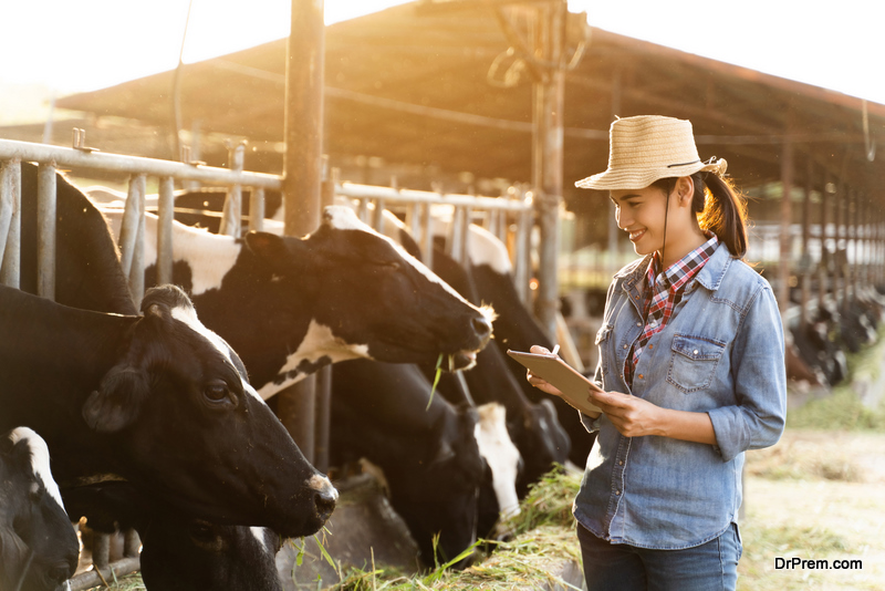 woman-keeping-track-on-Livestock