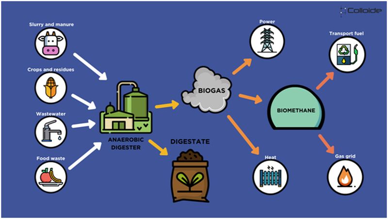 Anaerobic Digestion