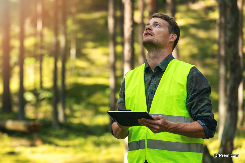 Routine Tree Inspection