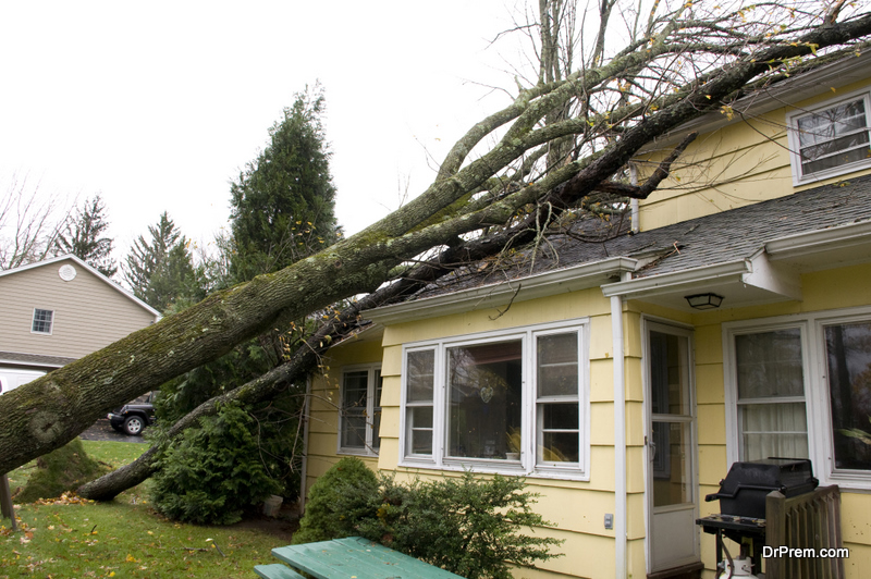 Storm damage