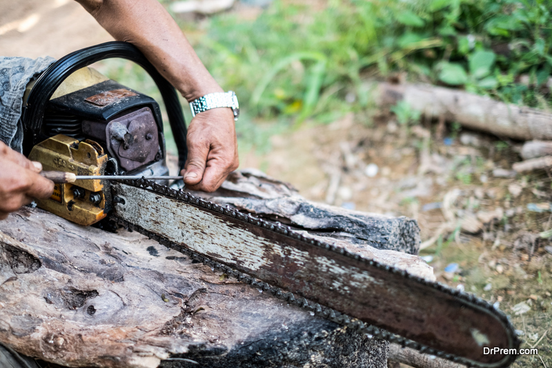 Tree Surgeon