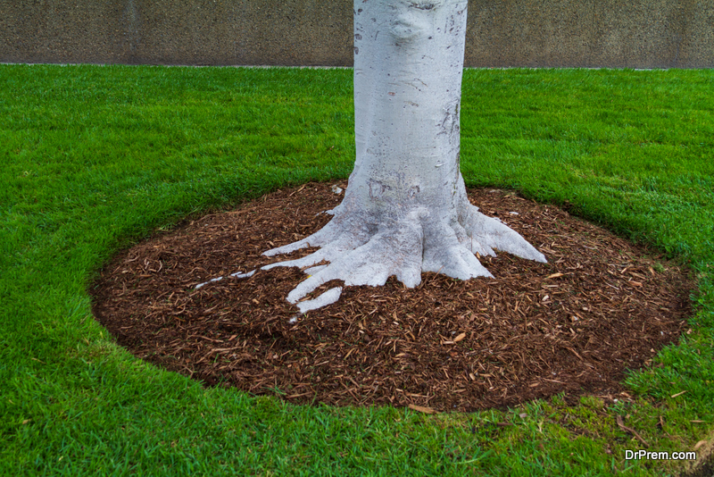 surrounded base with mulch