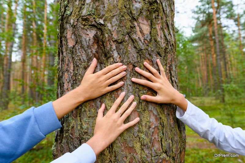 Protecting Large Forests