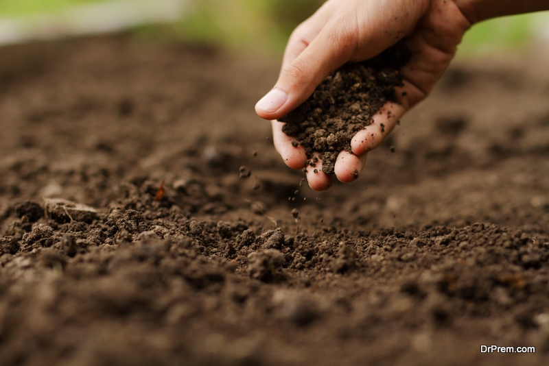 Hand checking soil 