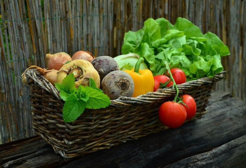 Environmental and Health Benefits of Organic Farming