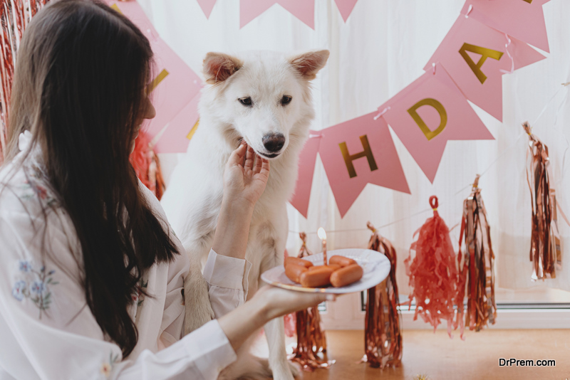 Guide to Celebrate an Eco-Friendly Birthday Party for Your Dog