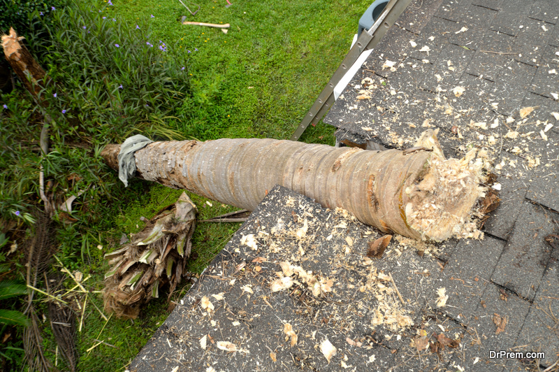 storm damaged the roof of the house