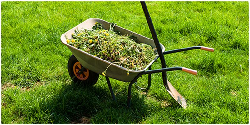 Guide To Green Waste Disposal