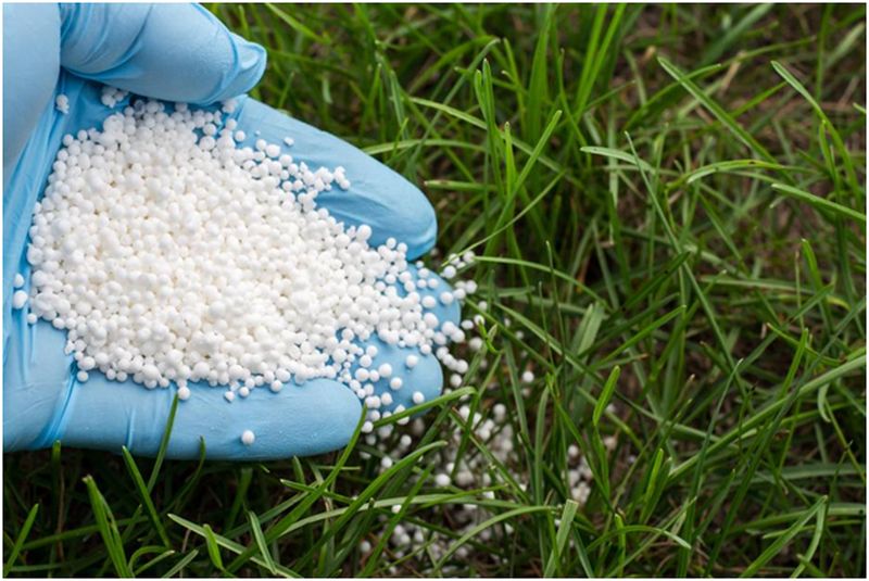 How to Properly Fertilize a Lawn