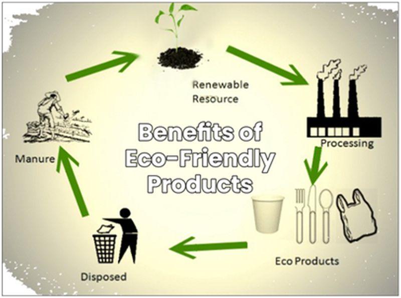Benefits of Eco-Friendly Products