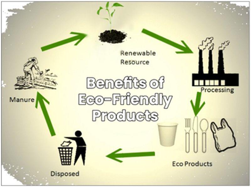 Benefits Of Eco Friendly Products