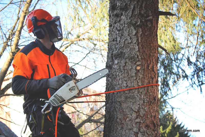 Arborists' Toolbox Techniques and Tools for Tree Care