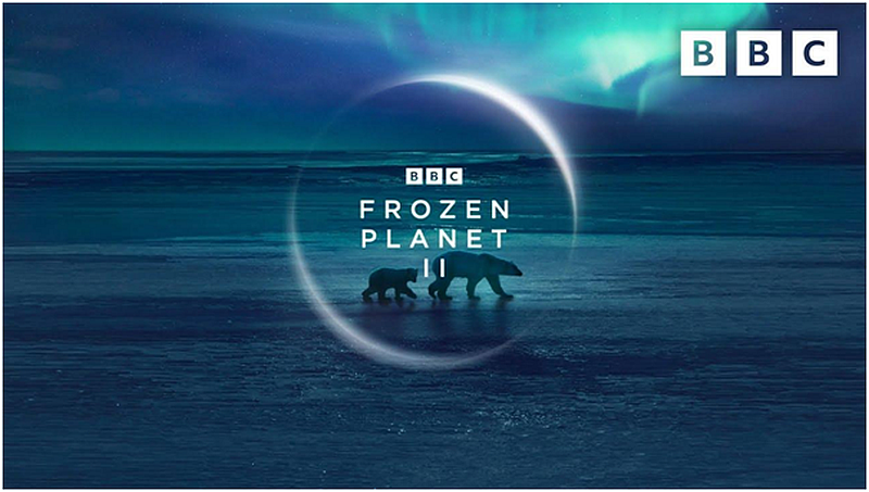 frozen planet