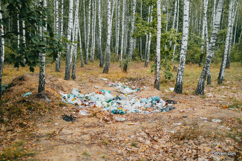 What You Should Know About Trash Decomposition