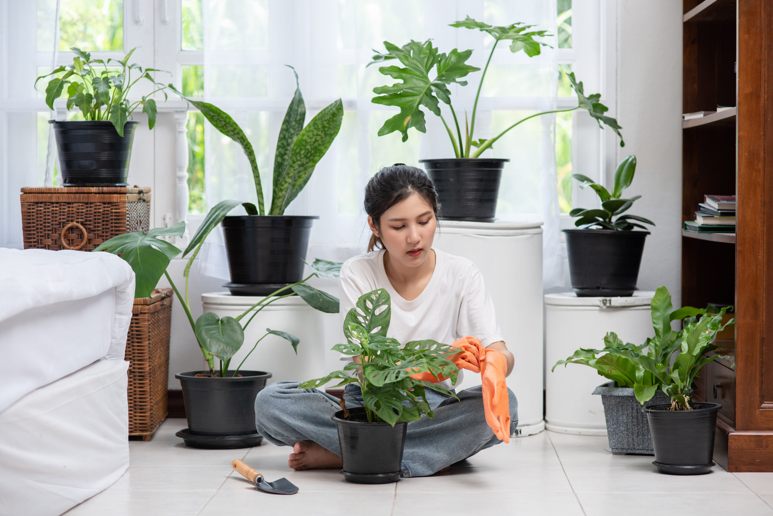 green living at home